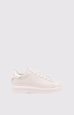 KAPRI Emboss Repeat Lo Lace