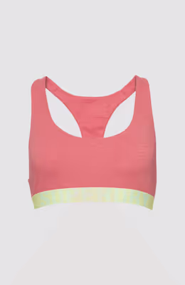 Large Logo Crop Bralette