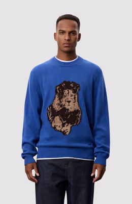 NFL Lion Roundneck Knit