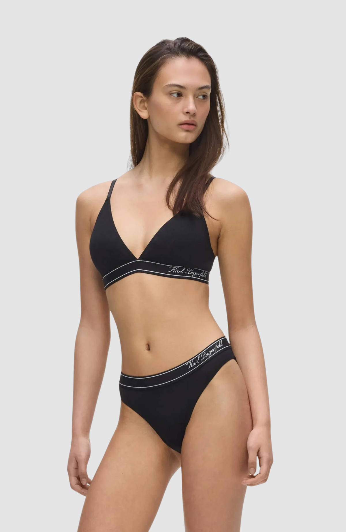 Hotel Karl Stripe Brief