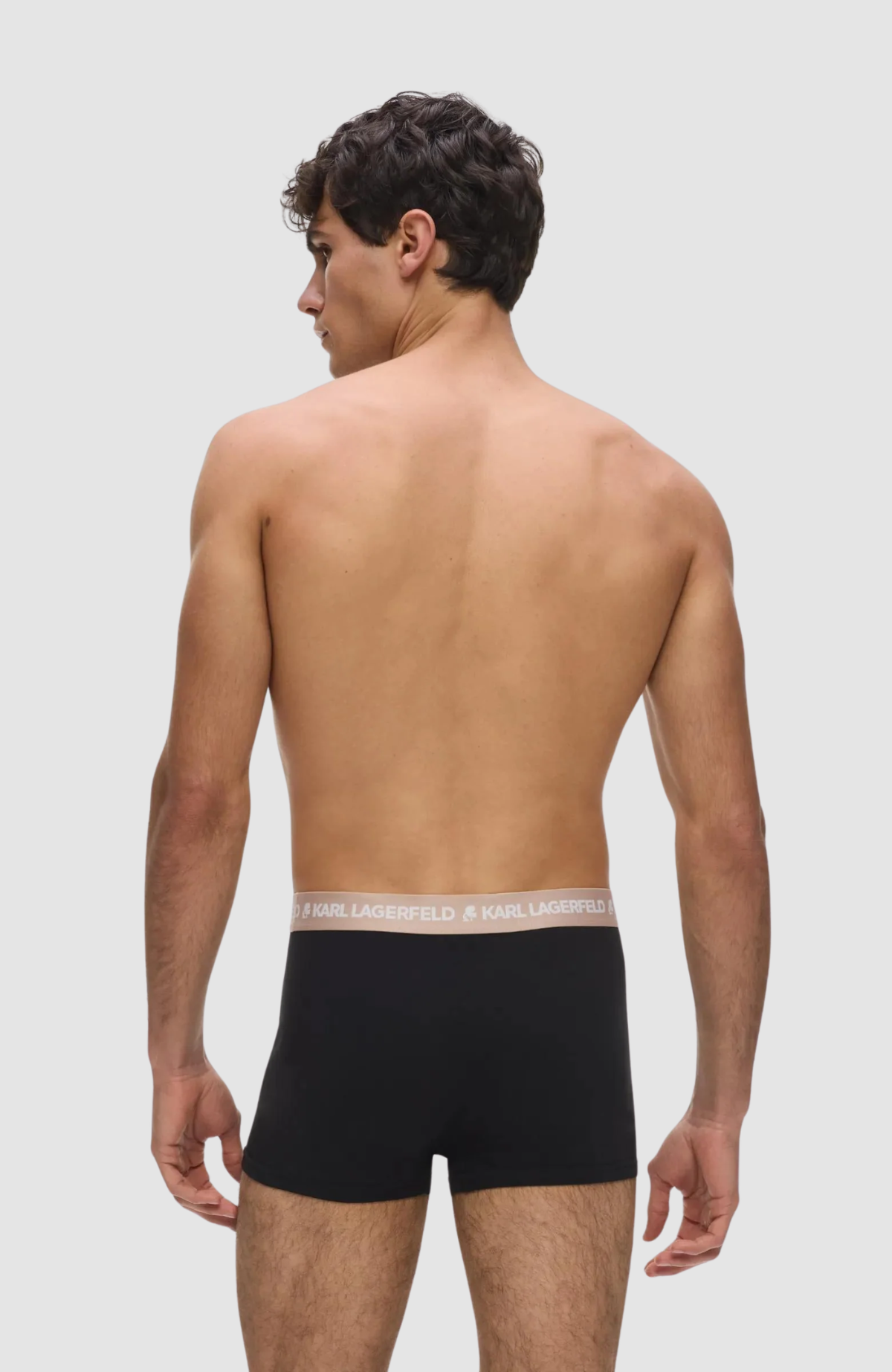 Logo Trunk Colorband (3P)