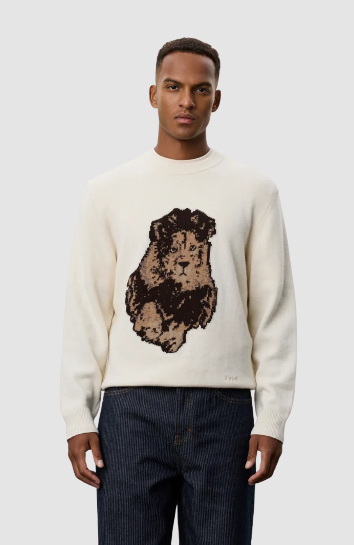 NFL Lion Roundneck Knit