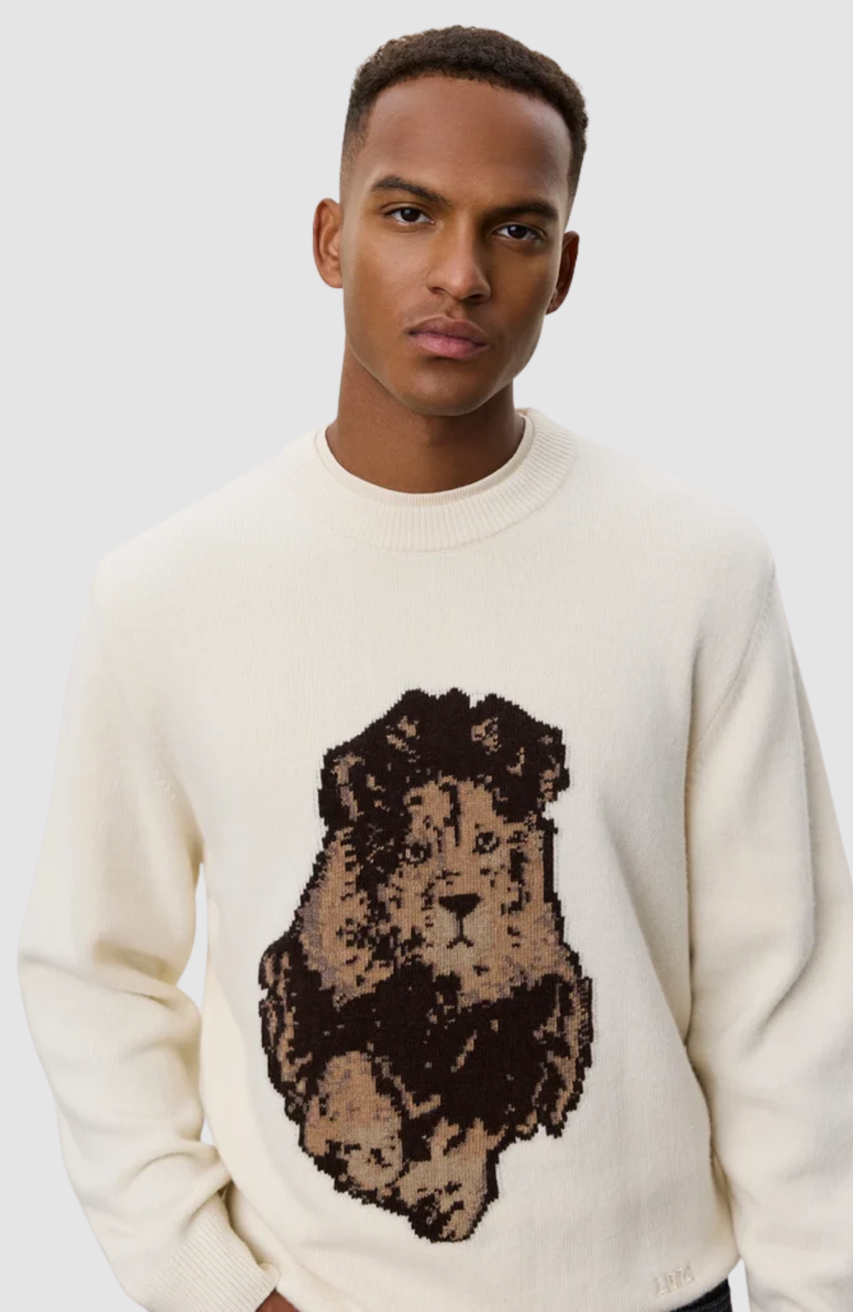 NFL Lion Roundneck Knit