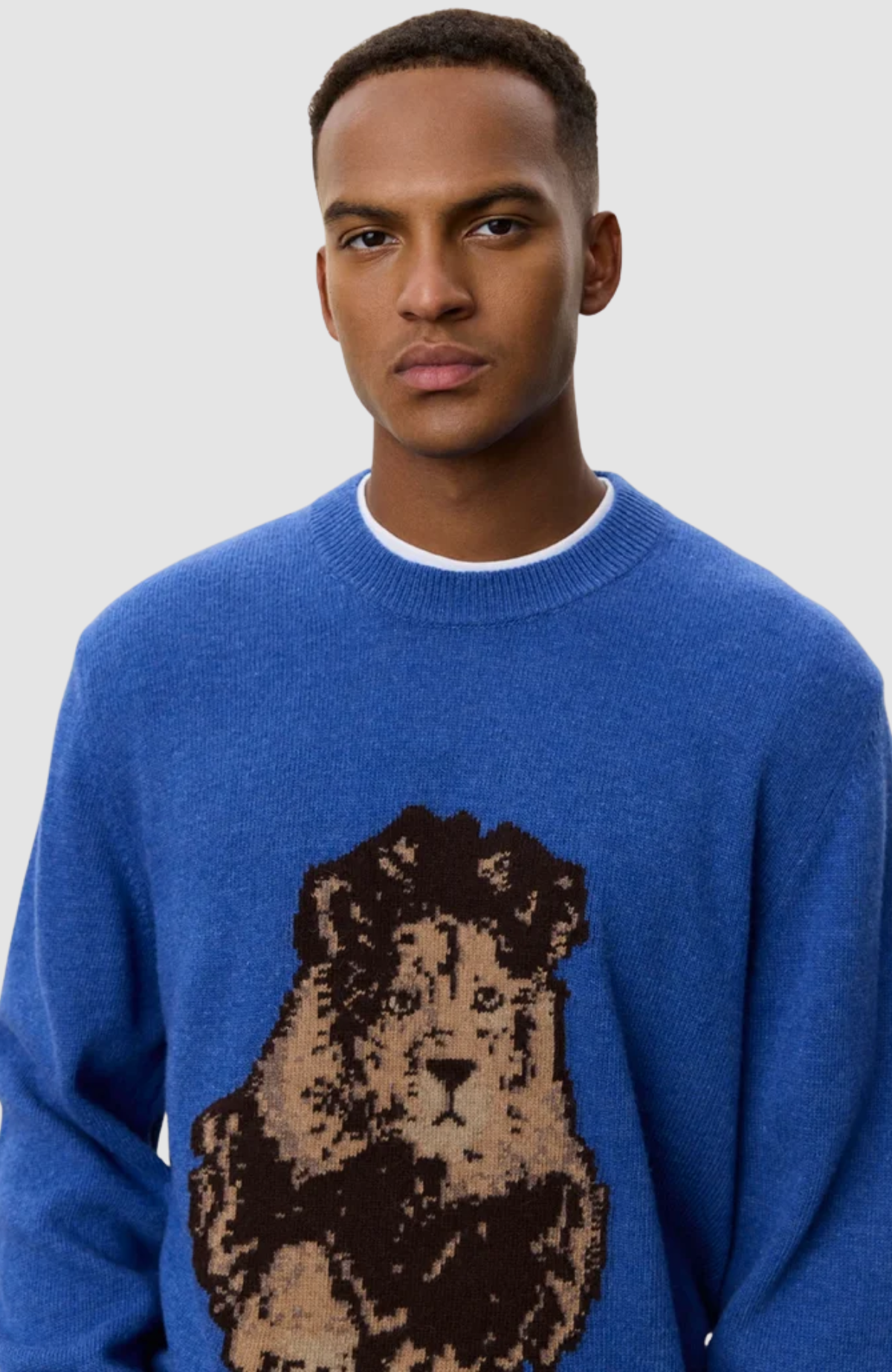 NFL Lion Roundneck Knit