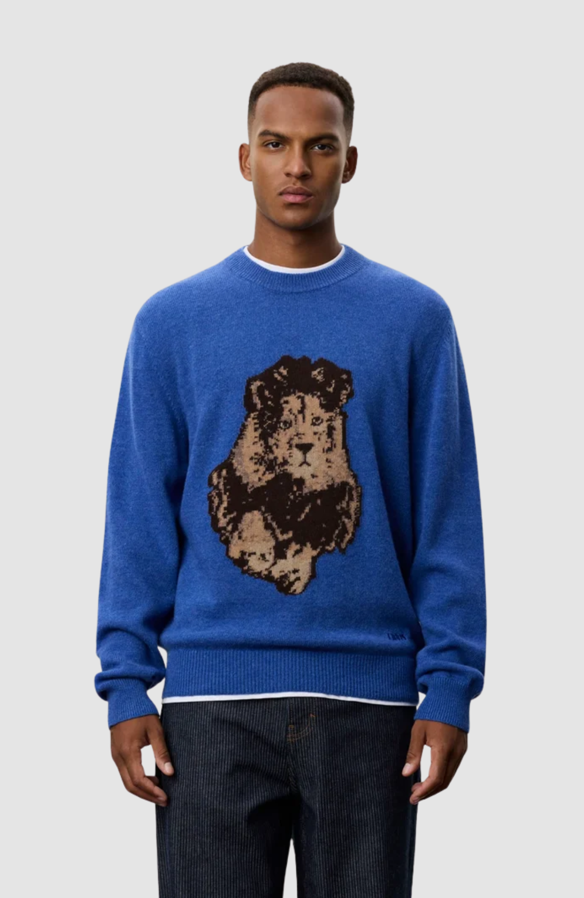 NFL Lion Roundneck Knit