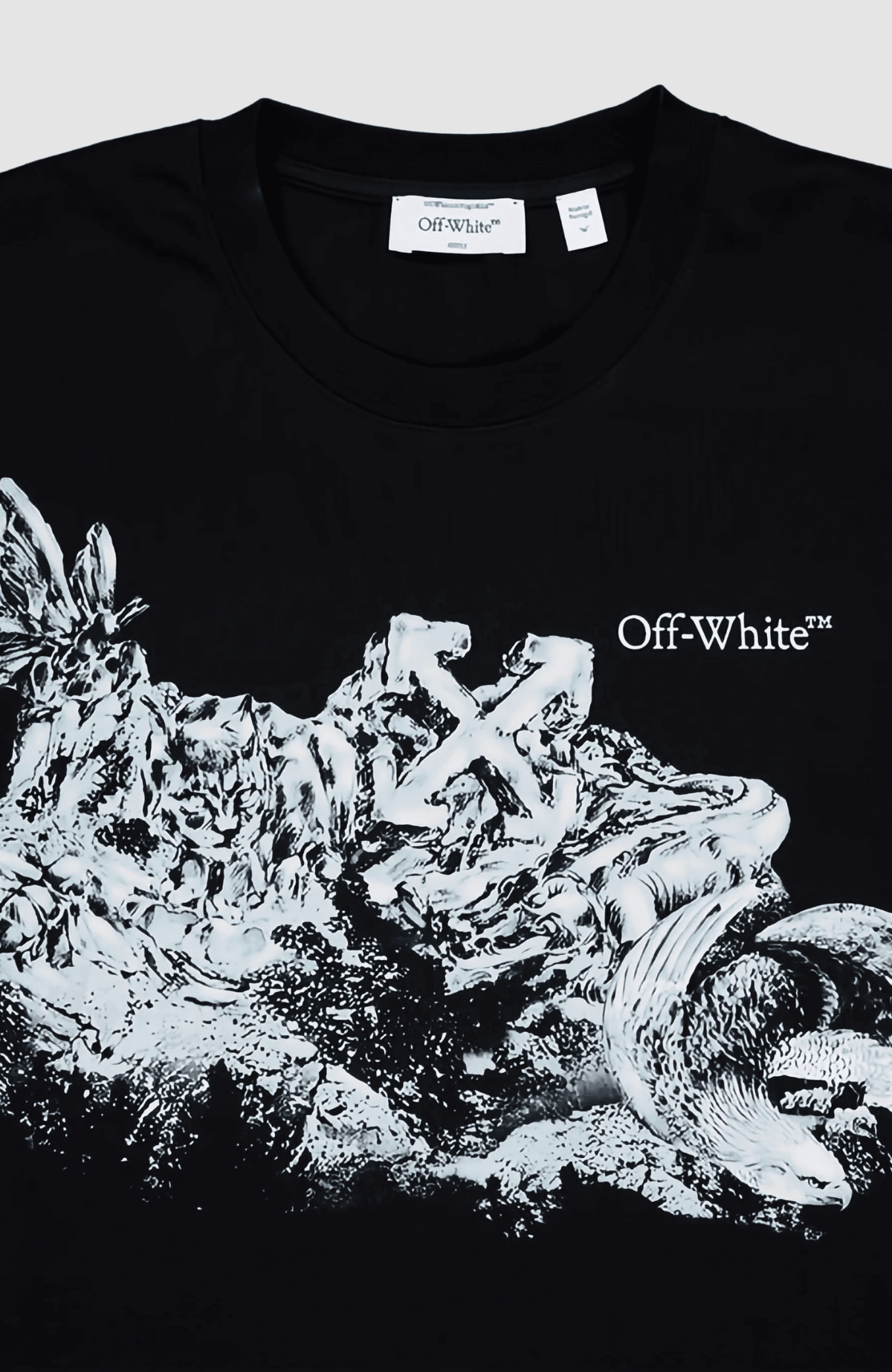 Eagle Rock Slim T-Shirt