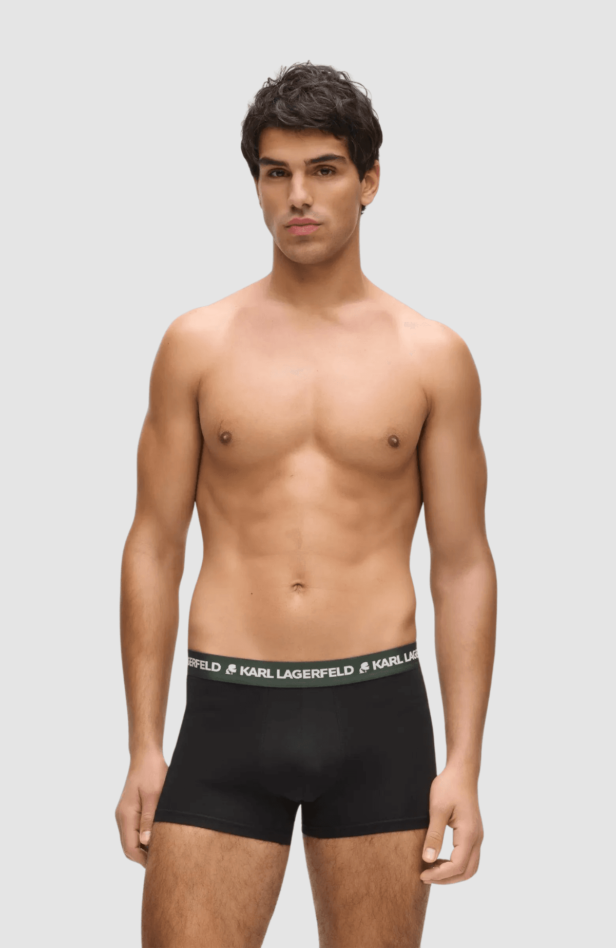 Logo Trunk Colorband (3P)